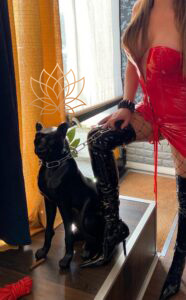 Domme Giselle